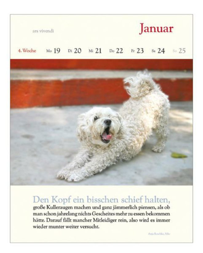literarischer_hunde_kalender_2015 Lumpi4.de Hundemagazin