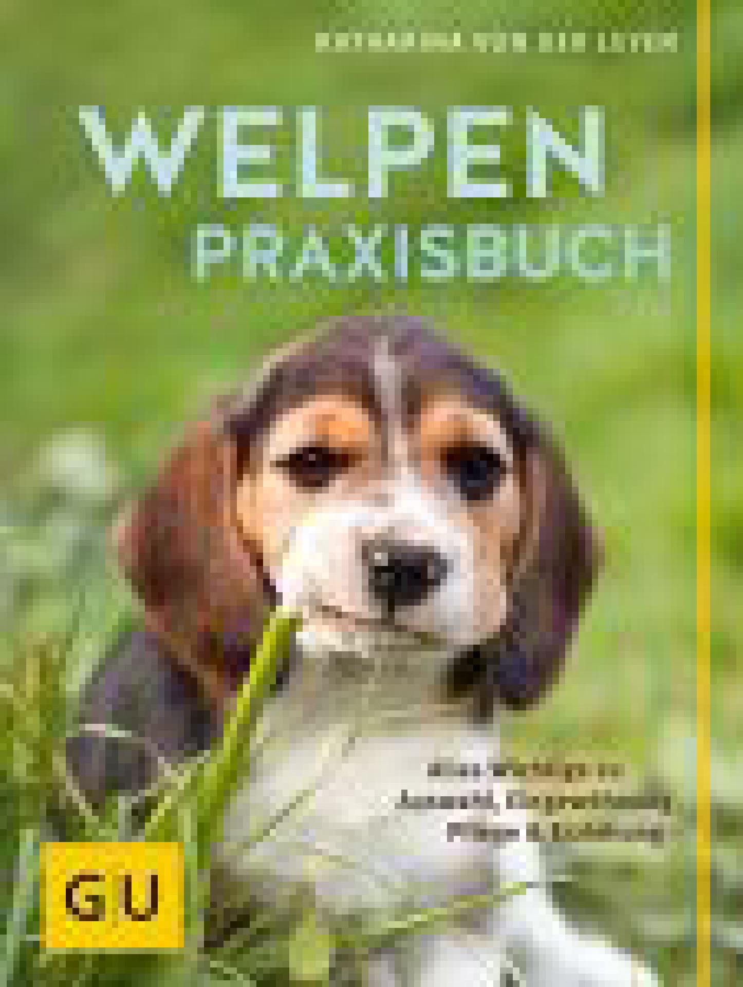 Das WelpenPraxisbuch Ein Welpe kommt ins Haus